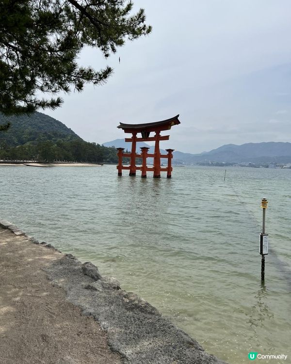 15/05/2025 福岡遊 Day 5 嚴島 (宮島)