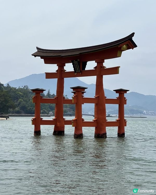 15/05/2025 福岡遊 Day 5 嚴島 (宮島)