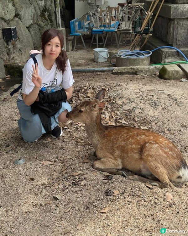 15/05/2025 福岡遊 Day 5 嚴島 (宮島)