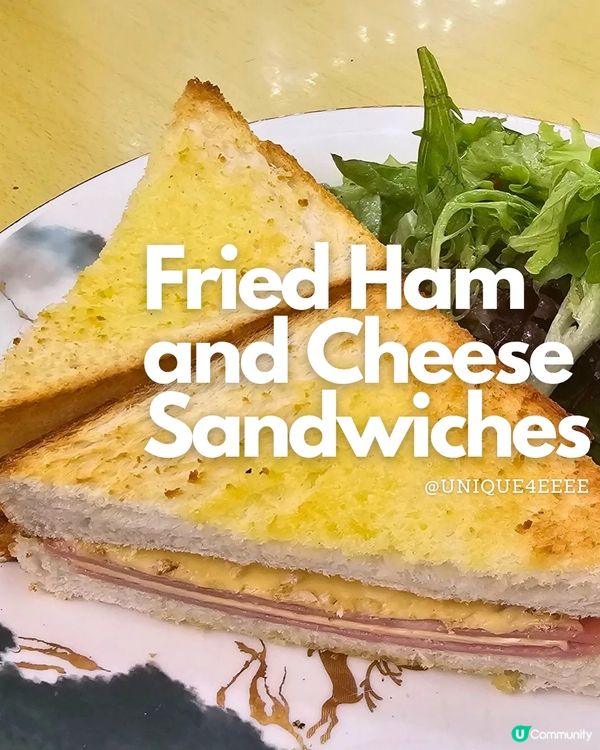 【自淘腰包探店】貓奴召集！長沙灣緬因貓Cafe