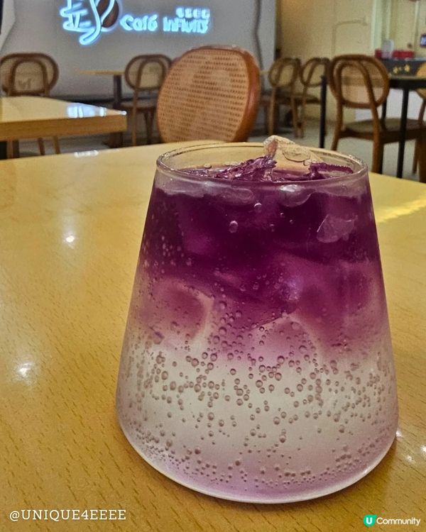 【自淘腰包探店】貓奴召集！長沙灣緬因貓Cafe