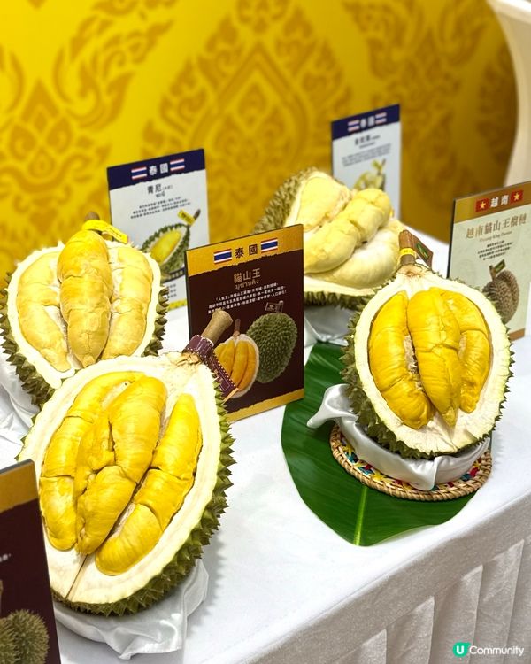 💛榴槤季又到啦!榴槤控要出動了😋