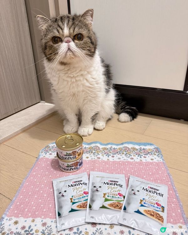 打開大人嘅電話, 除左我嘅相, 都係我嘅相, 好難會見到我地...