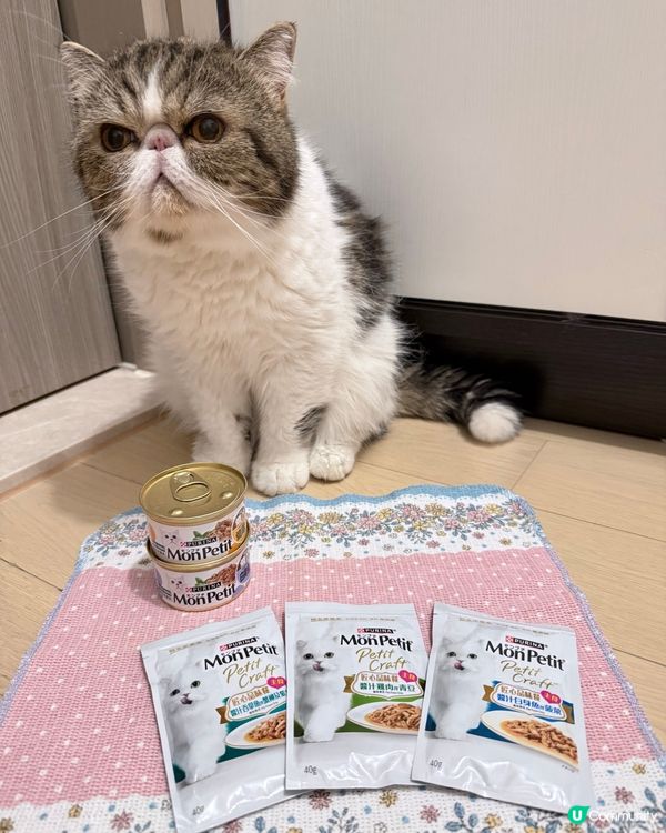 打開大人嘅電話, 除左我嘅相, 都係我嘅相, 好難會見到我地...