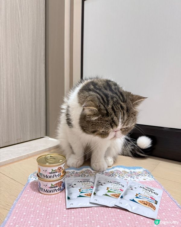 打開大人嘅電話, 除左我嘅相, 都係我嘅相, 好難會見到我地...