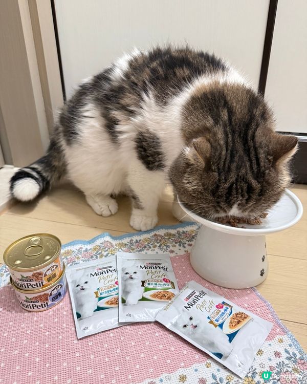 打開大人嘅電話, 除左我嘅相, 都係我嘅相, 好難會見到我地...