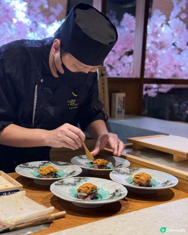 ♡ 八瀧｜櫻花飄雪浪漫𝐎𝐦𝐚𝐤𝐚𝐬𝐞♡