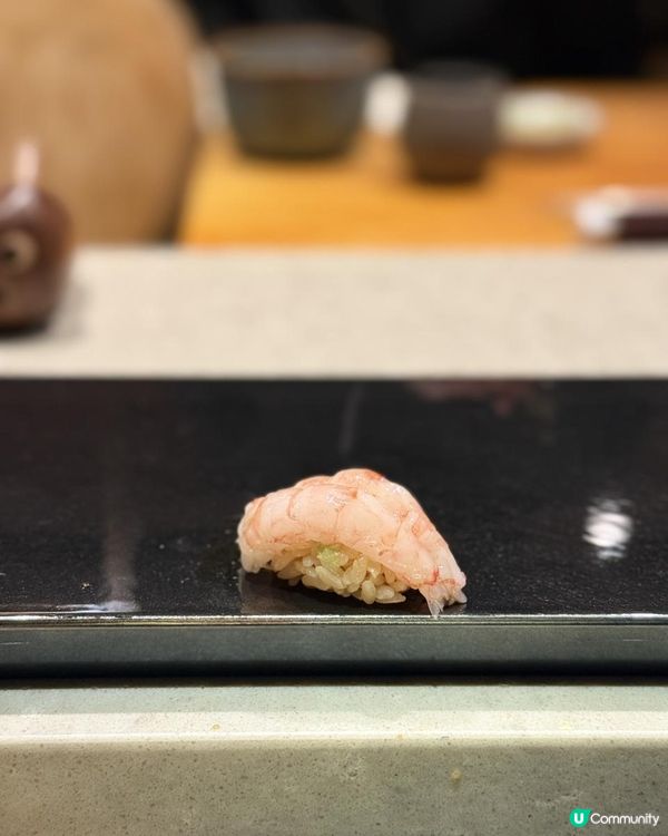 ♡ 八瀧｜櫻花飄雪浪漫𝐎𝐦𝐚𝐤𝐚𝐬𝐞♡