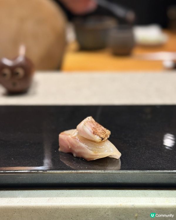 ♡ 八瀧｜櫻花飄雪浪漫𝐎𝐦𝐚𝐤𝐚𝐬𝐞♡