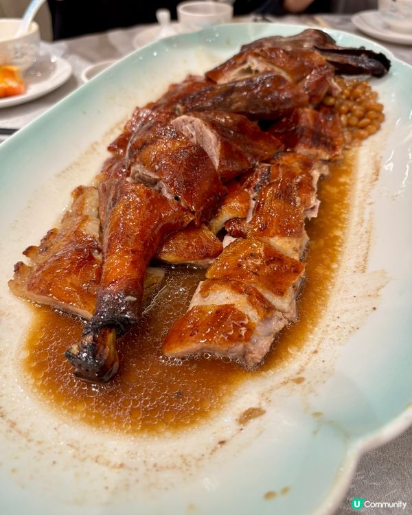 將軍澳天晉滙食好西😋翠湖海鮮酒家🦞  