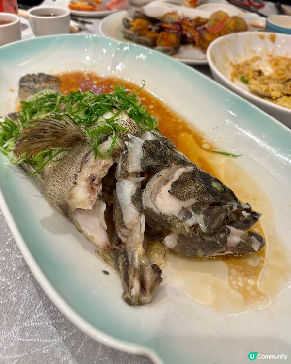 將軍澳天晉滙食好西😋翠湖海鮮酒家🦞  