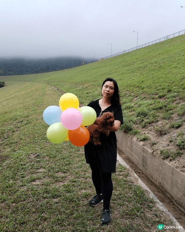 我隻狗狗叫啡啡，今年3歲，最鐘意咬布