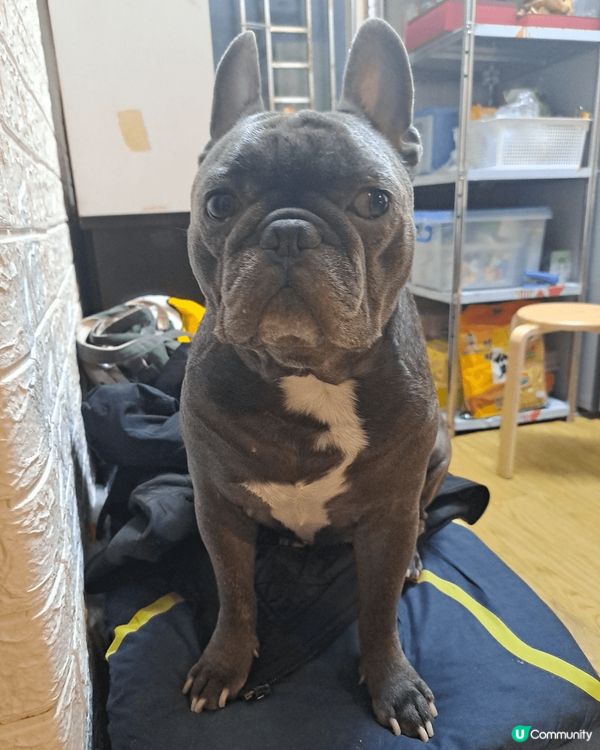 屋企影相不同動作,和開心