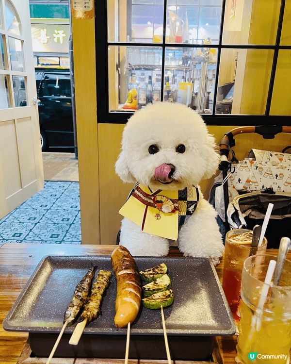 我家狗狗係全白色小比熊，梗係要用更加多嘅心機打理㗎啦！想試用...