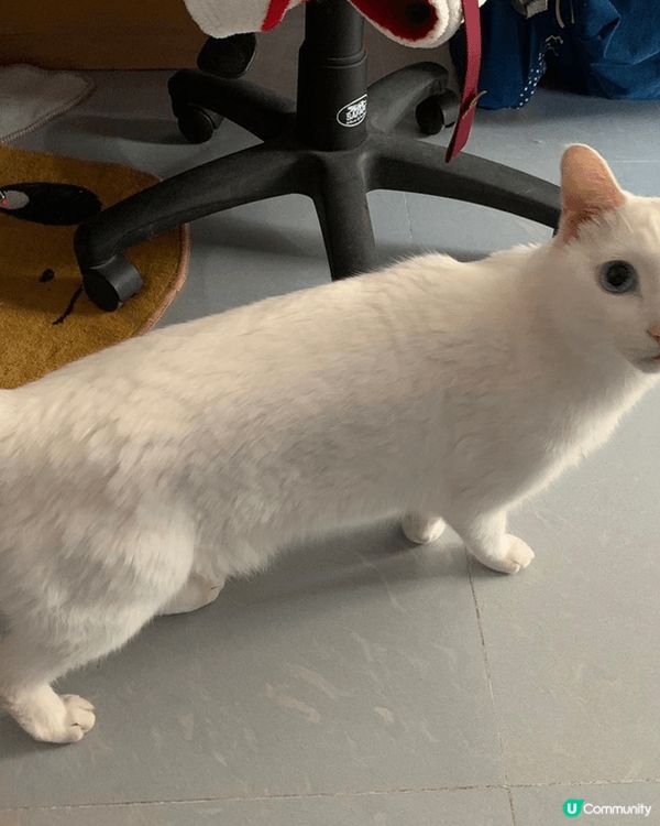 幾張相都係我覺得影得最靚嘅角度