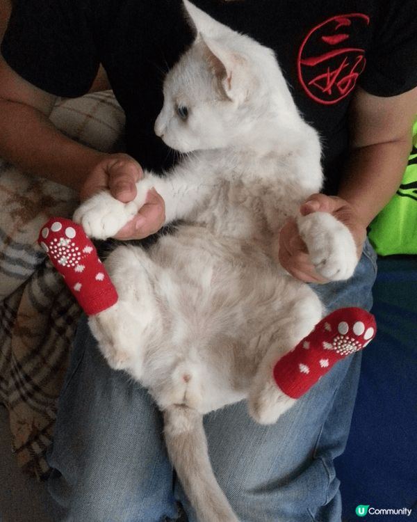 幾張相都係我覺得影得最靚嘅角度