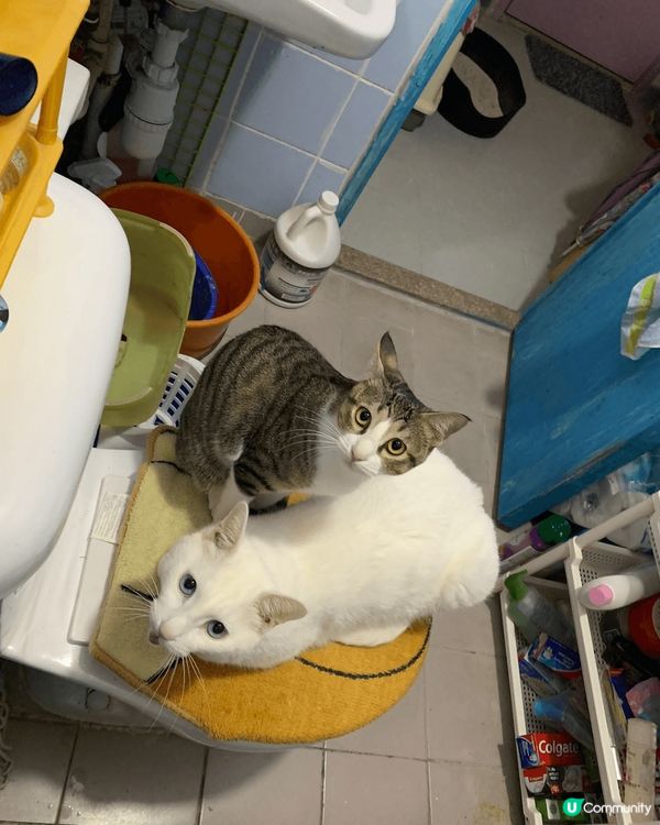 幾張相都係我覺得影得最靚嘅角度