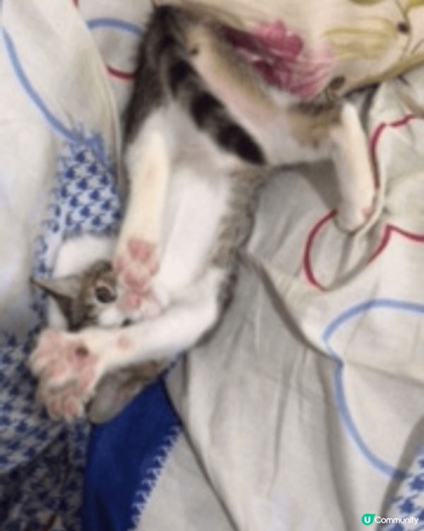 幾張相都係我覺得影得最靚嘅角度