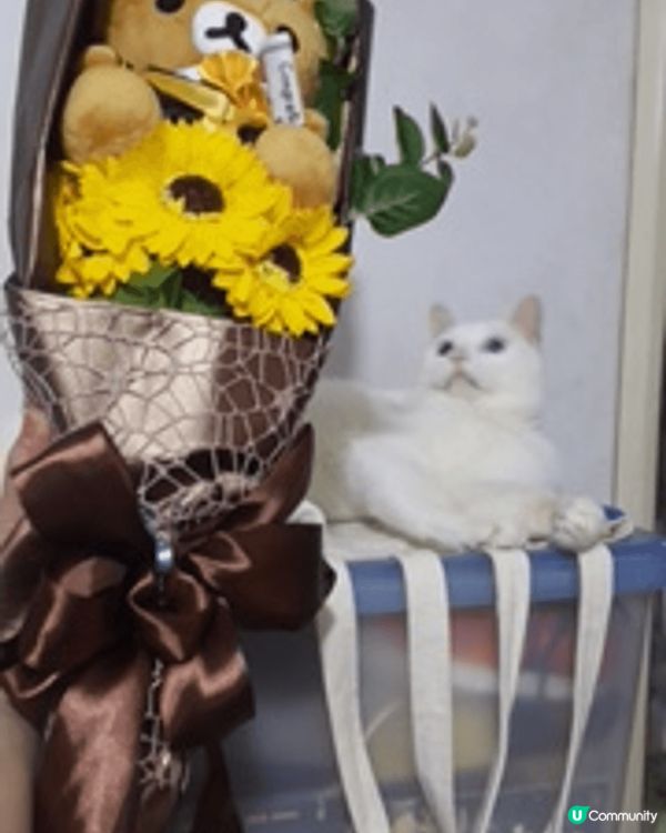 幾張相都係我覺得影得最靚嘅角度