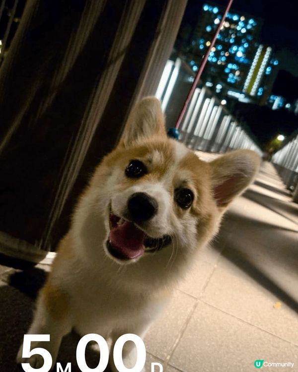 1)我除左鍾意我爸爸媽媽，我最愛就係糧機