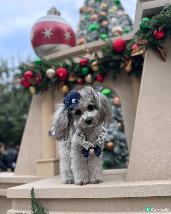 我鍾意沖涼乾淨，用高質產品沖完涼香噴噴，蓬鬆毛毛，打扮靚一靚...