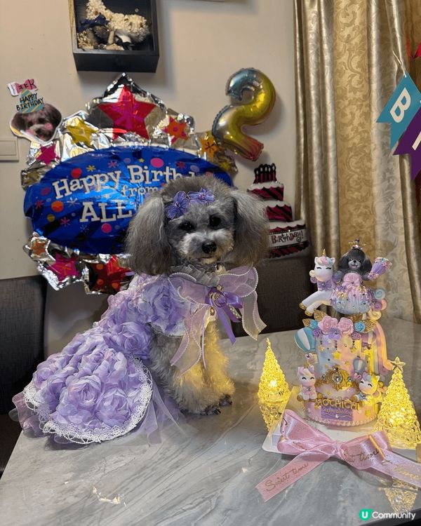 我鍾意沖涼乾淨，用高質產品沖完涼香噴噴，蓬鬆毛毛，打扮靚一靚...