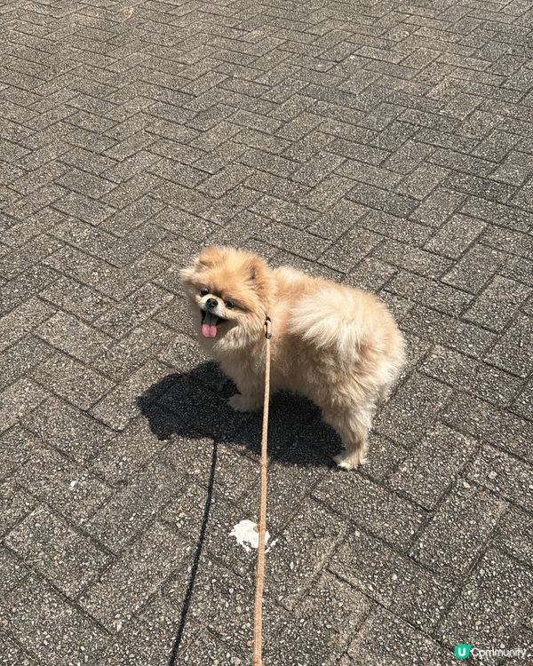 最靚仔、成日笑笑口的啤啤；