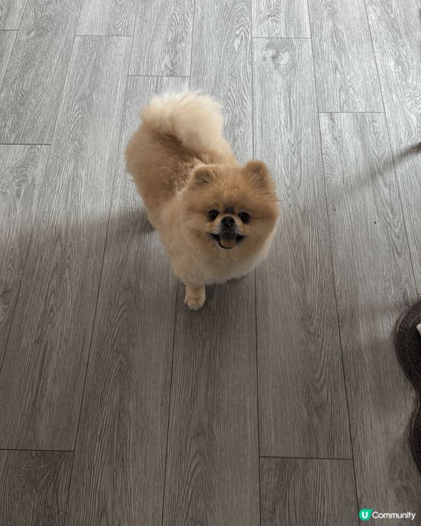 最靚仔、成日笑笑口的啤啤；