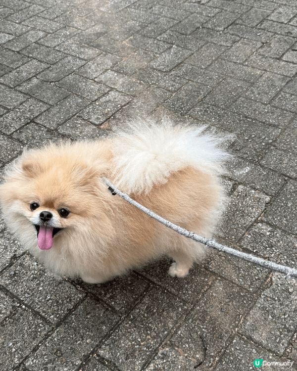 最靚仔、成日笑笑口的啤啤；