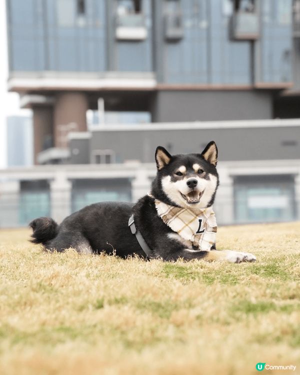 爹哋媽咪成日帶我出去玩、四圍去打卡，無論上山下海我都一樣咁鍾...