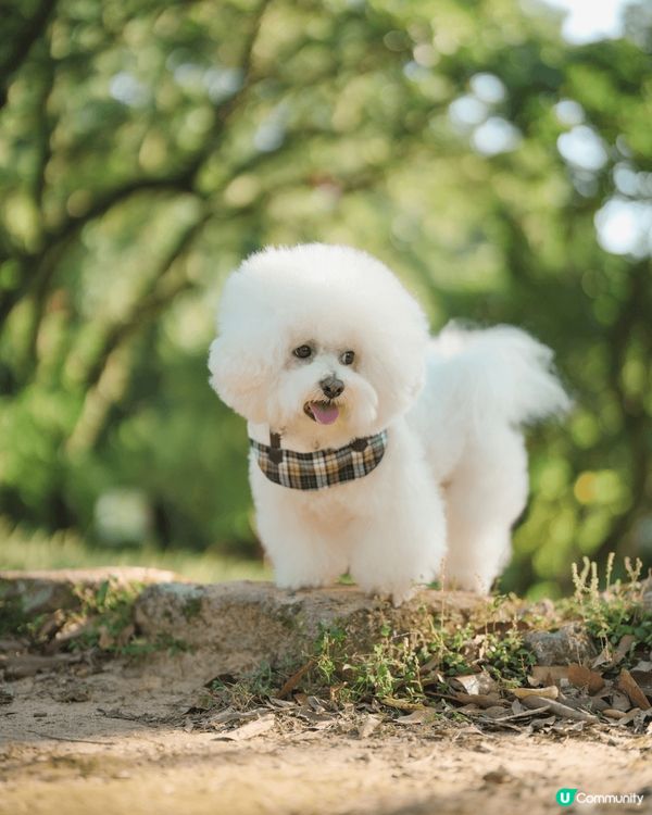 西貢獅子會戶外shooting