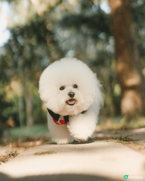 西貢獅子會戶外shooting