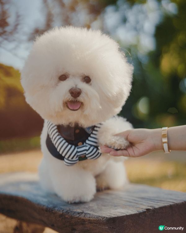 西貢獅子會戶外shooting