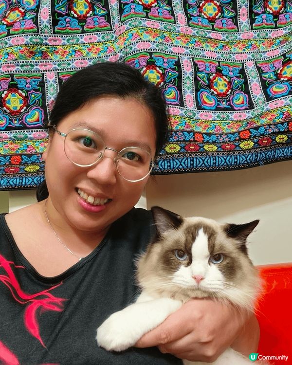 我家的傳統色布偶貓,名叫BADMAN，是一個很乖的男孩子，最...