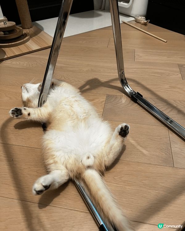 夜晚開冷氣驚佢凍親幫佢著左件呀伯夾綿