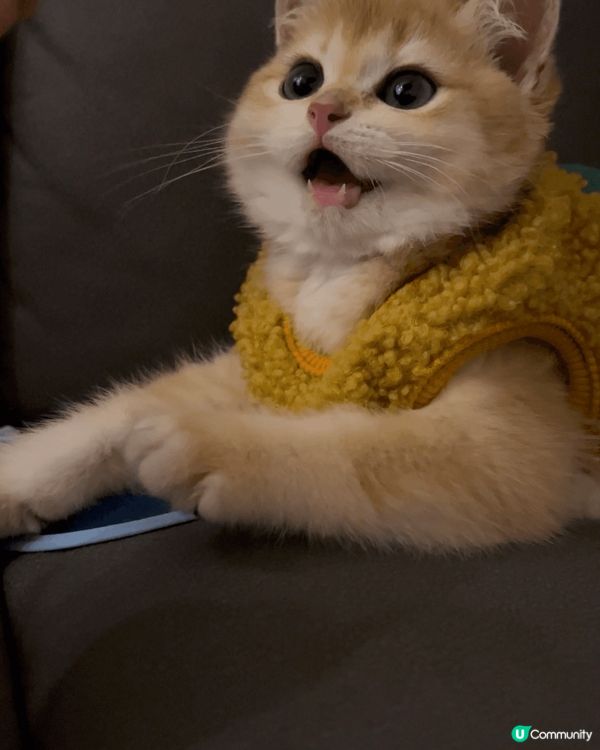 夜晚開冷氣驚佢凍親幫佢著左件呀伯夾綿