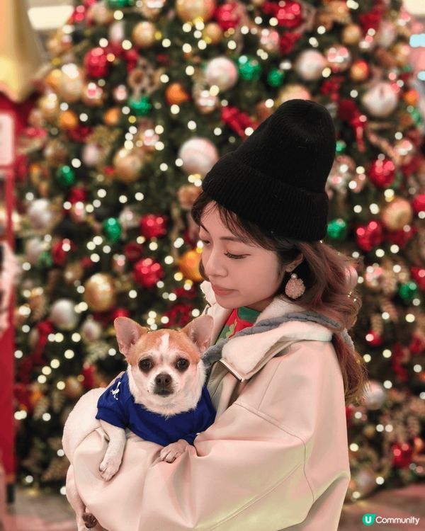 有得去玩，就開心到笑晒口嘅毛孩！唔好睇佢細細粒，好鬼惡又嘈，...