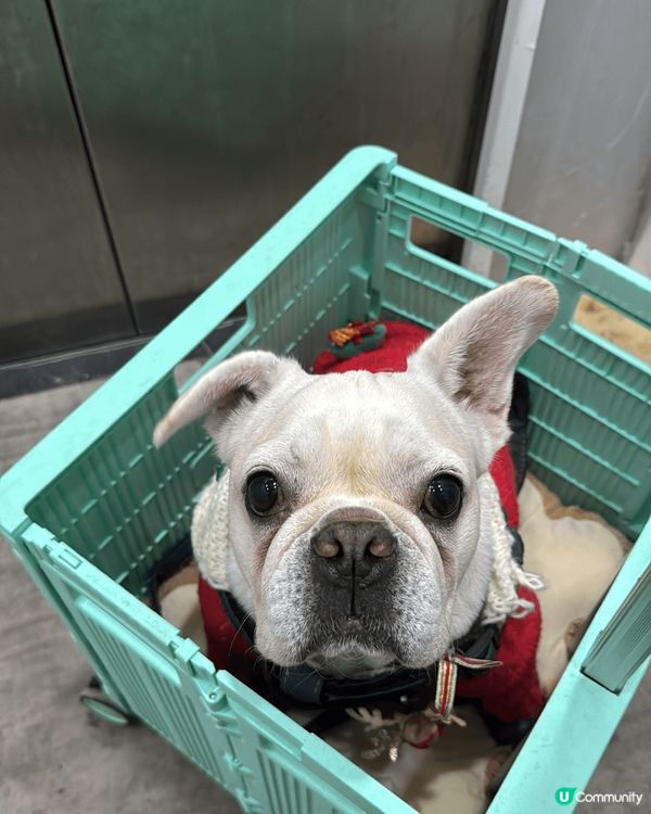 擺好pose 影埋相先發現佢對眼既淚痕好深，用過好多隻牌子抹...