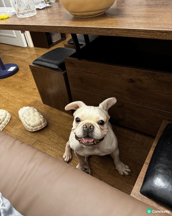 擺好pose 影埋相先發現佢對眼既淚痕好深，用過好多隻牌子抹...