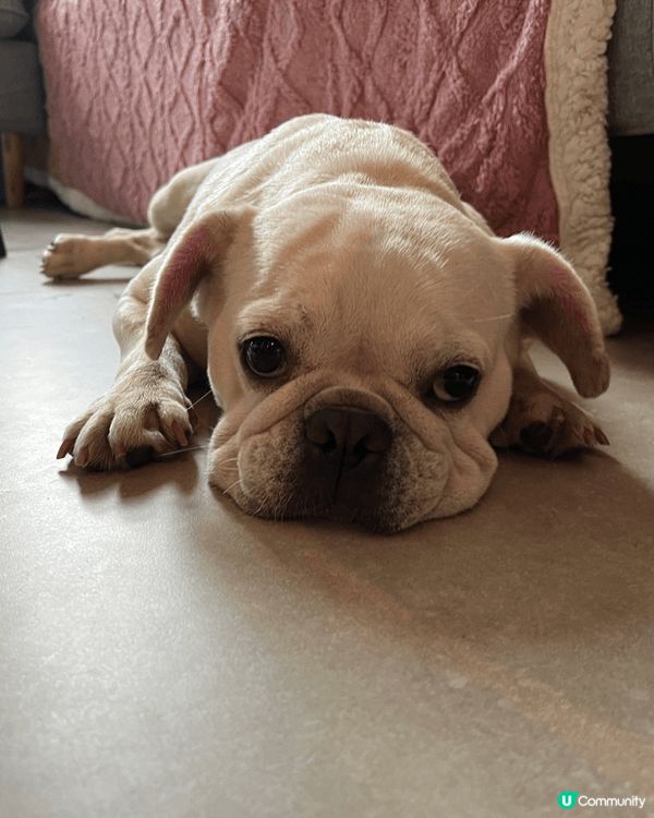 擺好pose 影埋相先發現佢對眼既淚痕好深，用過好多隻牌子抹...