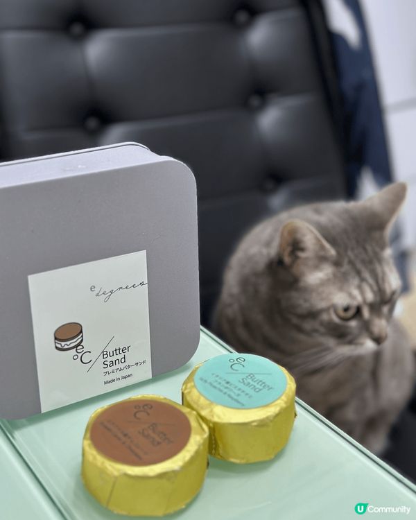 肥貓foodie😺幫手攝下鏡打個卡先🤭