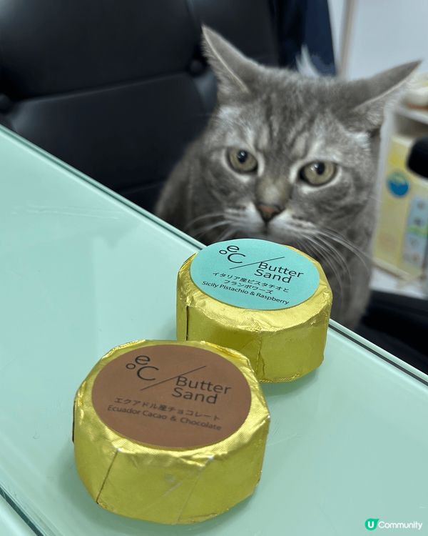 肥貓foodie😺幫手攝下鏡打個卡先🤭