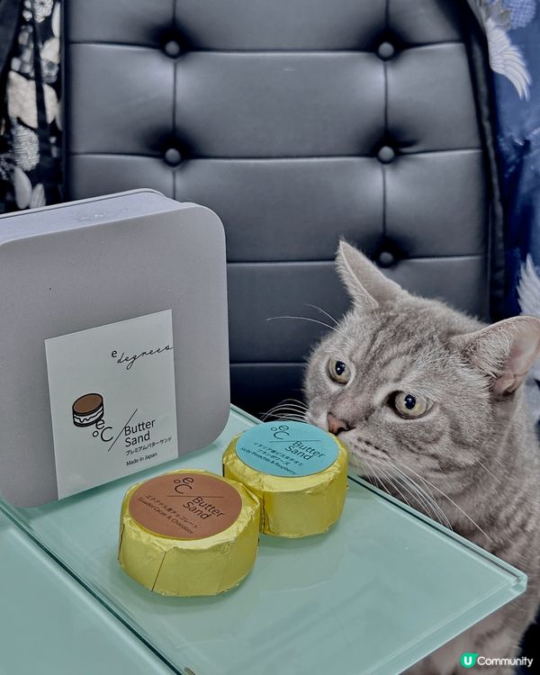 肥貓foodie😺幫手攝下鏡打個卡先🤭