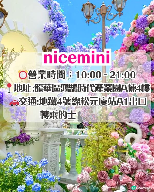 深圳繡球花打卡位5大推介📸😍真花佈置‼️貓貓cafe/中式庭院