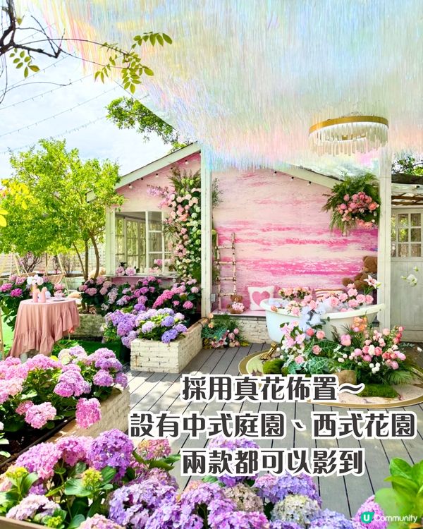 深圳繡球花打卡位5大推介📸😍真花佈置‼️貓貓cafe/中式庭院