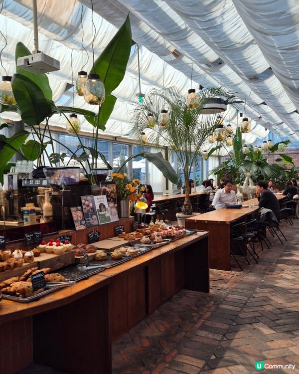 【🇰🇷首爾聖水】隱世綠洲Cafe陽光×植物嘅治癒時光🌞