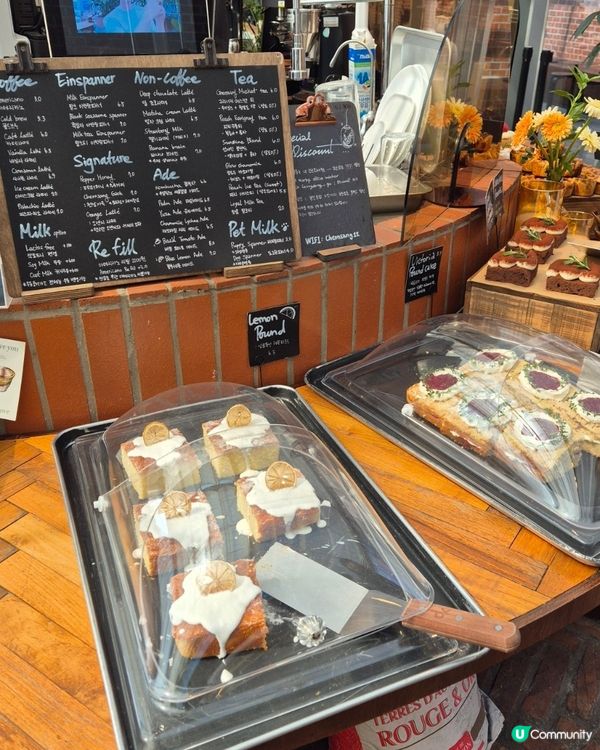 【🇰🇷首爾聖水】隱世綠洲Cafe陽光×植物嘅治癒時光🌞