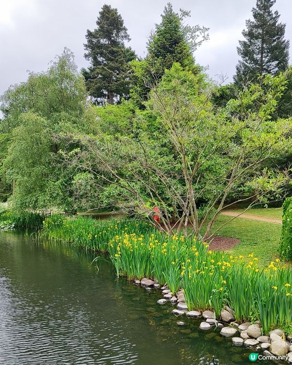🌸我愛花花🌸之🌱邱園🌱世界植物王國👑