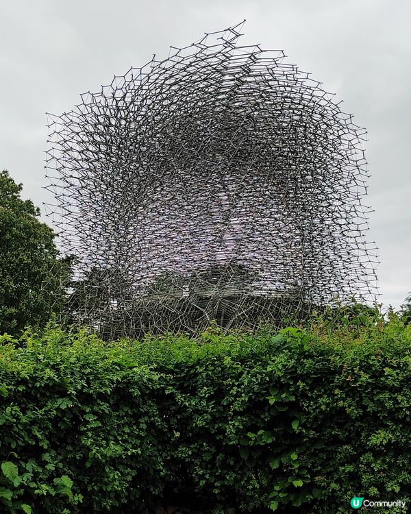 🌸我愛花花🌸之🌱邱園🌱世界植物王國👑