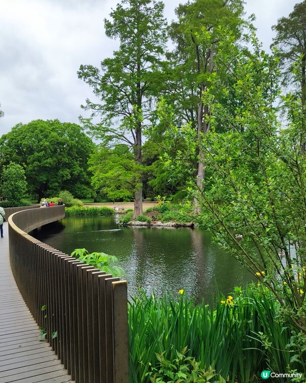 🌸我愛花花🌸之🌱邱園🌱世界植物王國👑